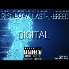 RIS LOW X LAST-_-BREED - DIGITAL