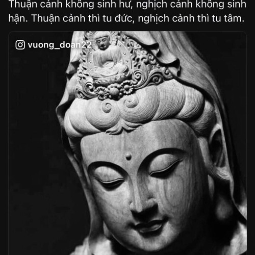 Mừng thọ tuổi 20 #1