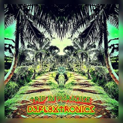 Ganjiadelic ® Level 27 ॐ Trip In Paradise🌴