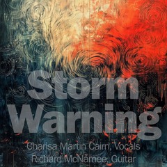 Storm Warning - Bonnie Raitt cover