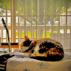 Sally Girl’s Heaven