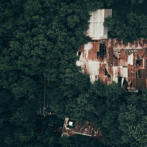 Overgrowth (naviarhaiku325)