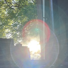 A shaft of sunlight