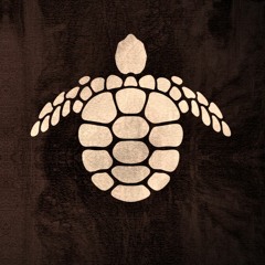 THIS IS TORTUGA TRIBES