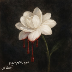 TAMOME ZENDIGIM AZIZAM