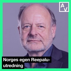 Norges egen Reepalu-utredning