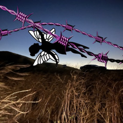 cuts - dylan fletcher (prod. xanval)