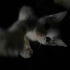 my own skin ::>_<:: prod. takuori