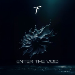 Enter The Void