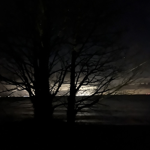 unscripted B2B NO-El mix 2024 (1st)