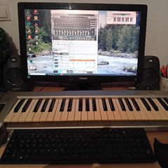 In The Flow Of Music