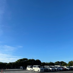 7月19日