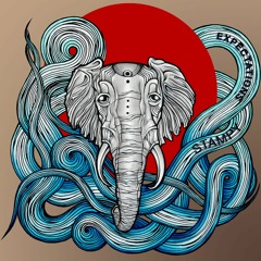 Stampy - Expectations