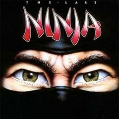 The Last Ninja - Wastelands In Game Cover