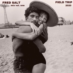 Summer Mix Series 1 - Fred Salt