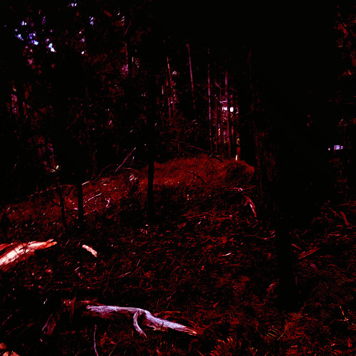 FALLEN