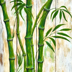 Bamboo
