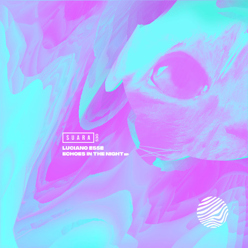 [SUARA530] Luciano Esse - Run Run (Original Mix)