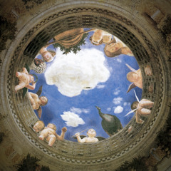 rospo - senza collare