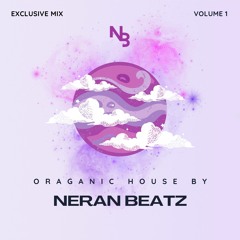 Progressive/Organic House Mix 2024 VOL-1 🎧🎵 by NERAN