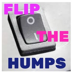 Flip The Humps (Matroda vs. Valentino Khan)