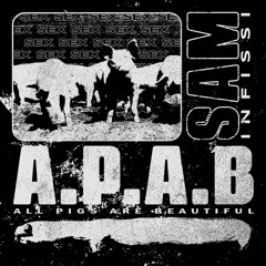 A.P.A.B [all pigs are beautiful] (mix 11.01.2023)