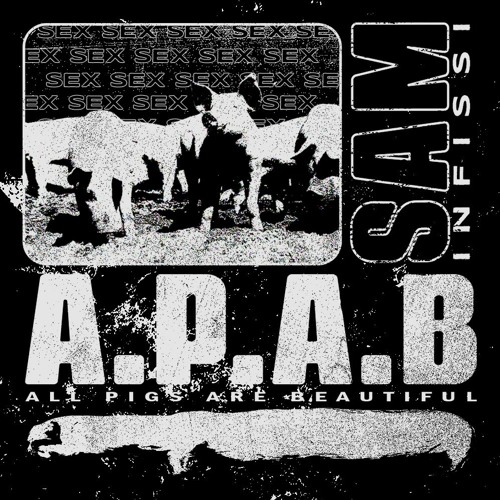 A.P.A.B [all pigs are beautiful] (mix 11.01.2023)