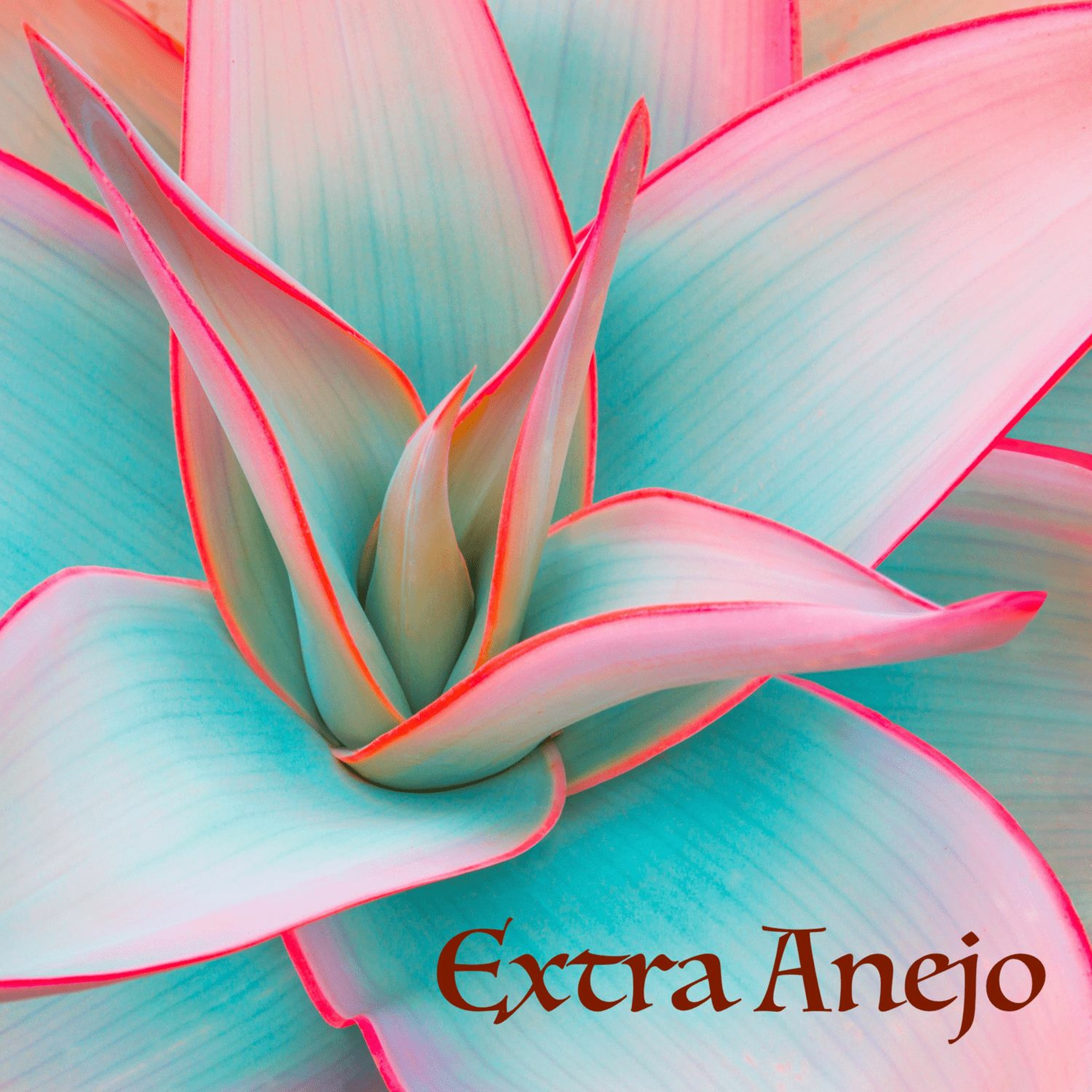 Extra Anejo - Afro & Organic House Set @ OrganiCali - Pina 12/18/21