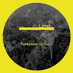 Funkytino - Get Down [LEVEL RECORDS]