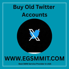 Which is the Best Place to Buy Old Twitter Accounts
