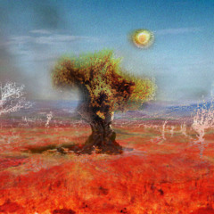 Neverland Frequency