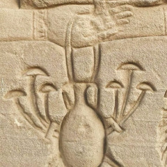 Mushroom Jazz 27 - Mark Farina