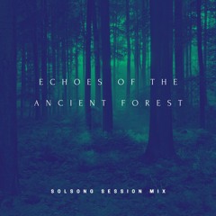 Echoes of the Ancient Forest