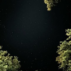 fortuna812 - холодные звезды (snippet 8.01.25)