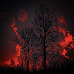Spiritrealm X Northstarbaby ~ Nibiru (Prod Everlasting)