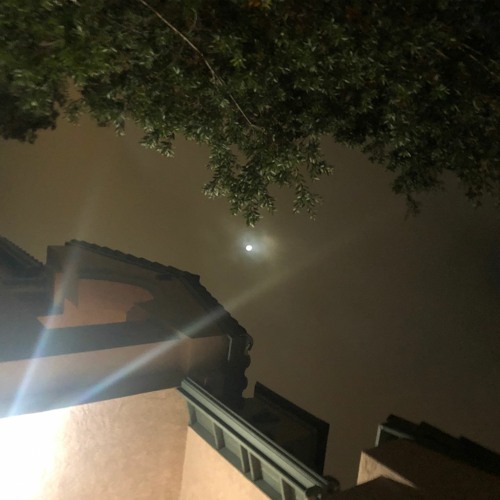 zoë faramunga - wax and wane of tana