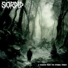 Dukelheit (Burzum Cover)