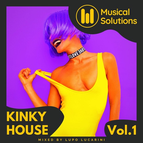 Kinky House Vol.1 (House) Mixed by Lupo Lucarini