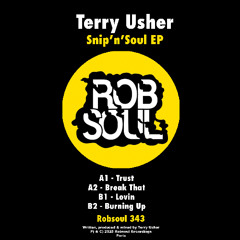 Terry Usher - Break That