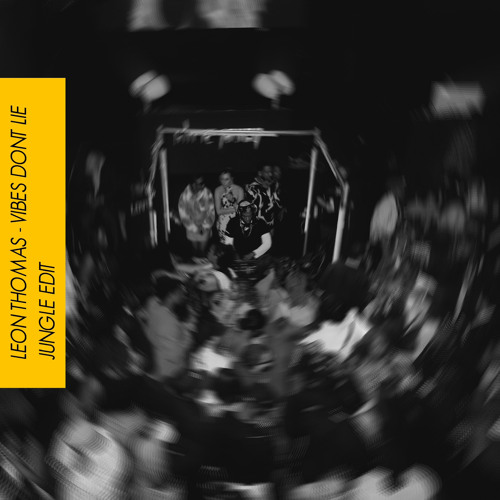 leon thomas - vibes dont lie (chriz javey jungle edit)