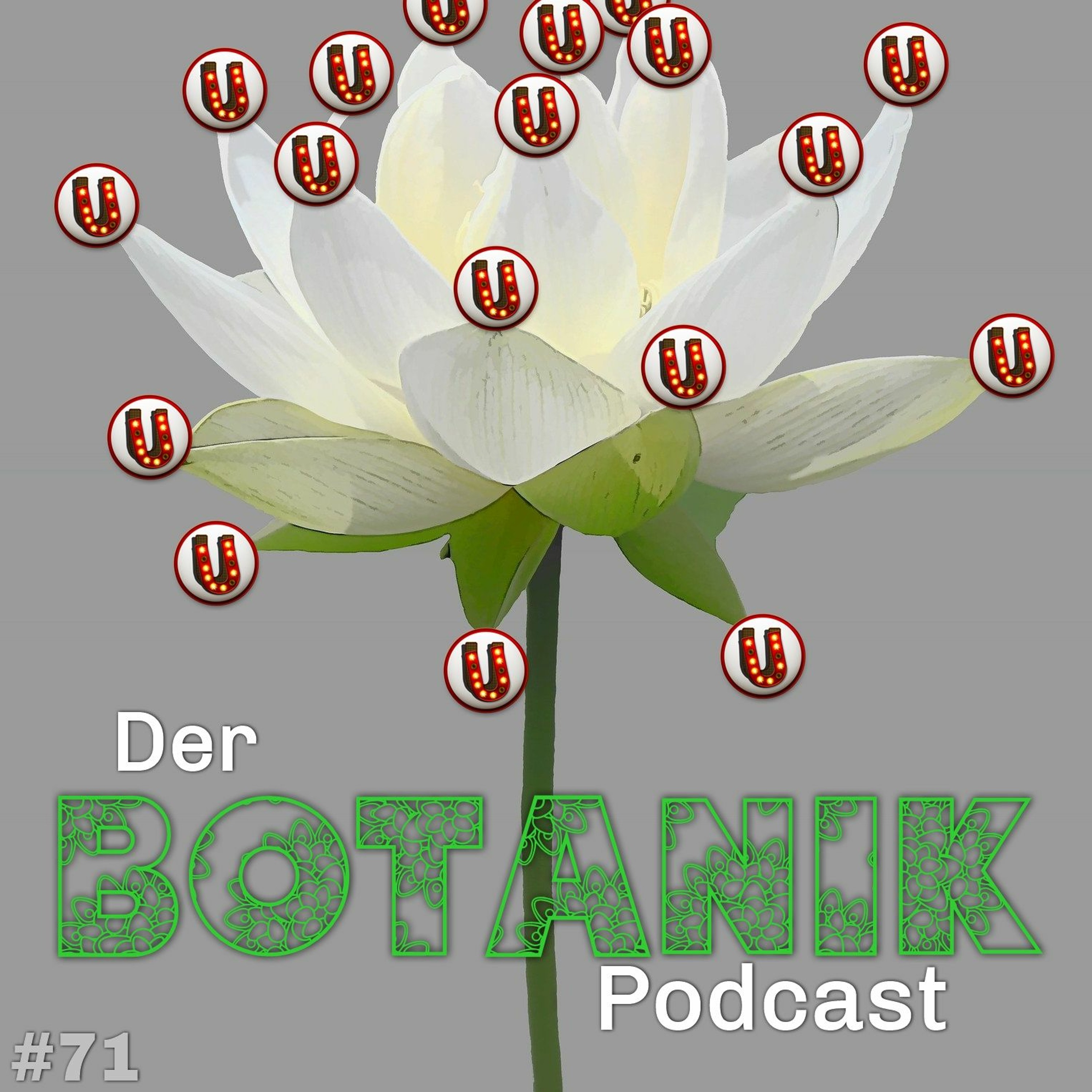 Unbekannt trotz Funk und Fernsehen