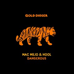 Mac Milio & Hool - Dangerous [Gold Digger]