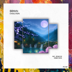 PREMIERE: Brann — Waiting [Polyptych]