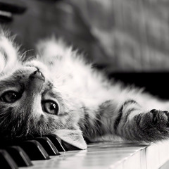 Piano beats 🎹🎶