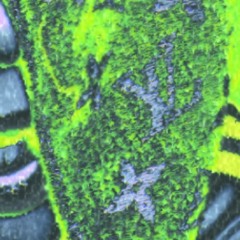 check up and flex up prodkashi