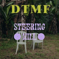 Bad Bunny - DtMF (Steering Will Remix)