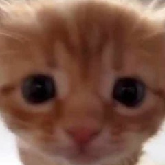 ROAR - I Cant Handle Change for no reason at all (the good part)