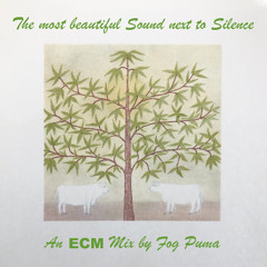 The most beautiful Sound next to Silence - An ECM Mix by Fog Puma for Radio Thalflug