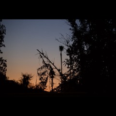 Vru Patel - Cendre (feat. Meturi)