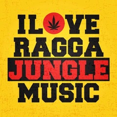 Nuttin Nuh Go So (Jungle Remix)